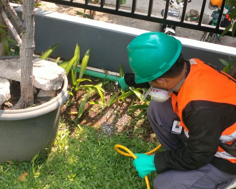 Visi PT. BorNeo Atyra Semesta